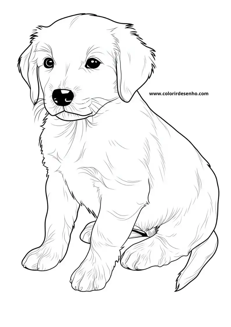 Puppy and Dog Coloring Pages 10