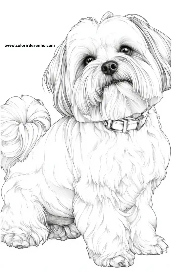 Puppy and Dog Coloring Pages 26