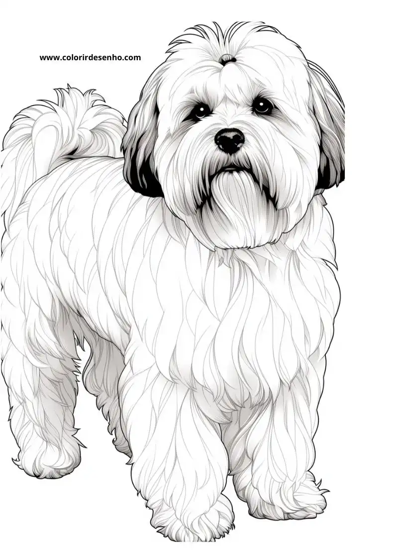 Puppy and Dog Coloring Pages 27