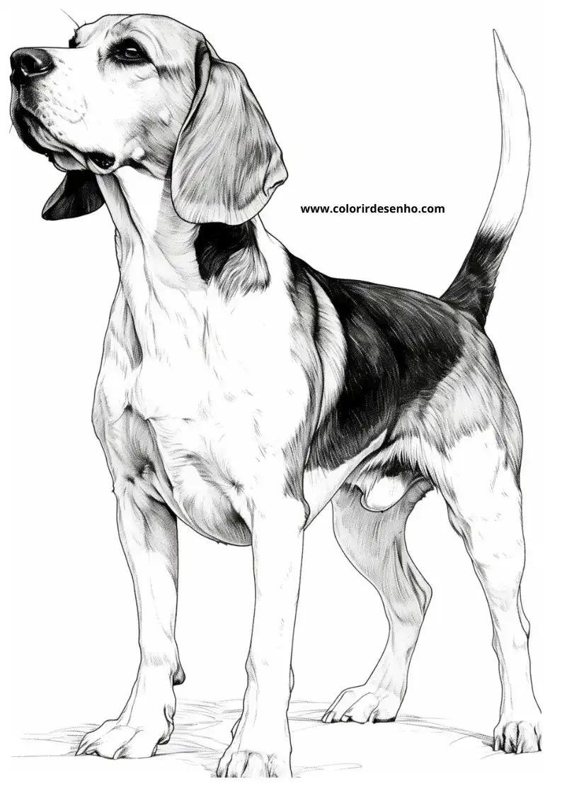 Puppy and Dog Coloring Pages 30