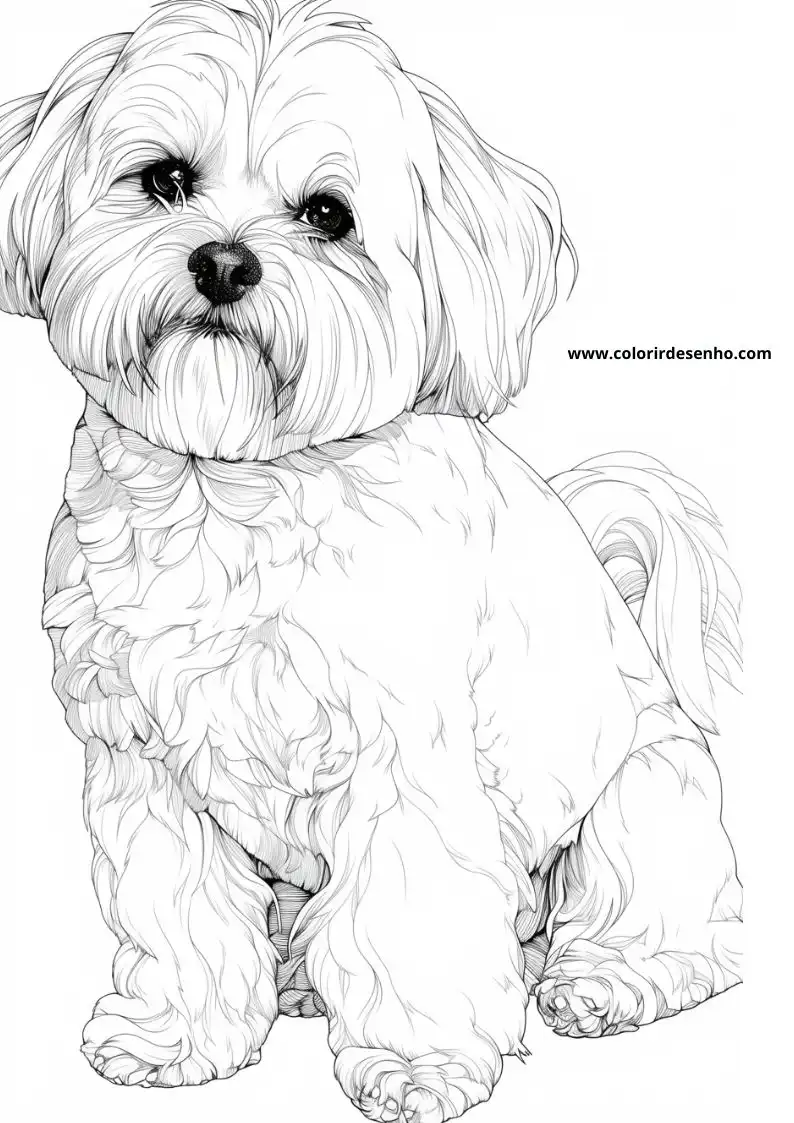 Puppy and Dog Coloring Pages 33