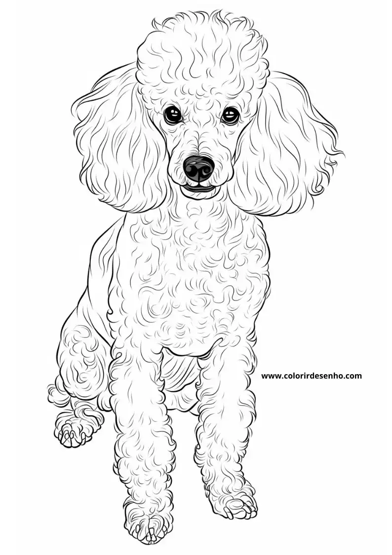 Puppy and Dog Coloring Pages 40