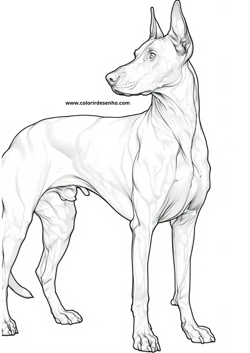 Puppy and Dog Coloring Pages 55