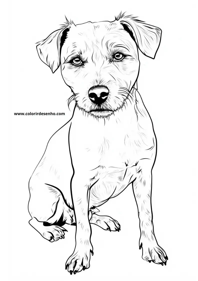 Puppy and Dog Coloring Pages 61