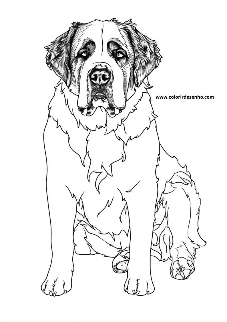 Puppy and Dog Coloring Pages 67