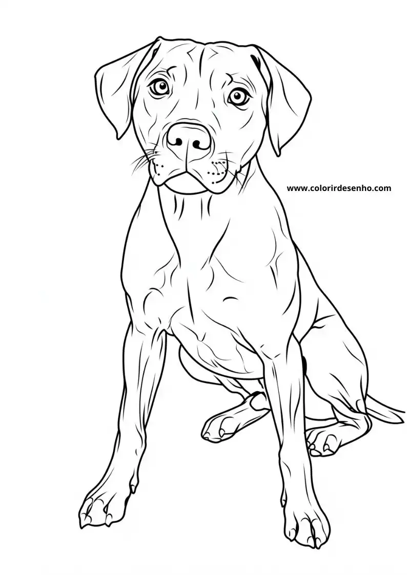 Puppy and Dog Coloring Pages 76