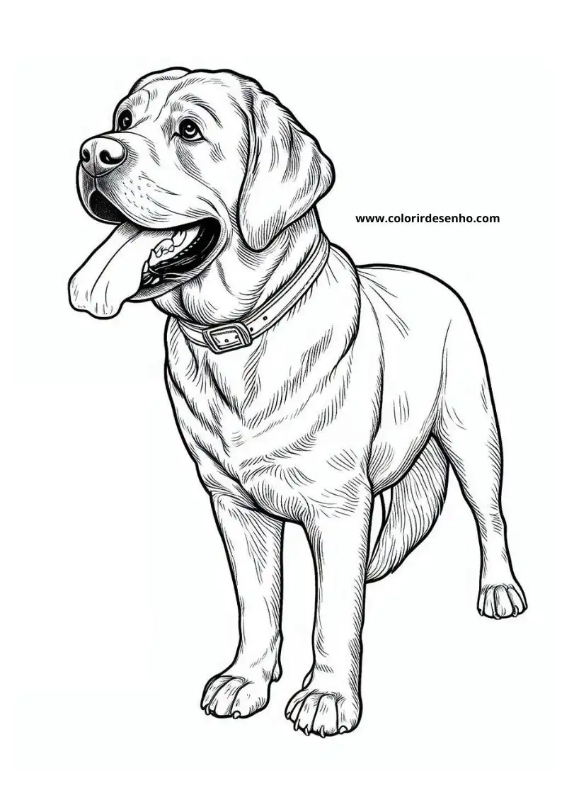 Puppy and Dog Coloring Pages 91