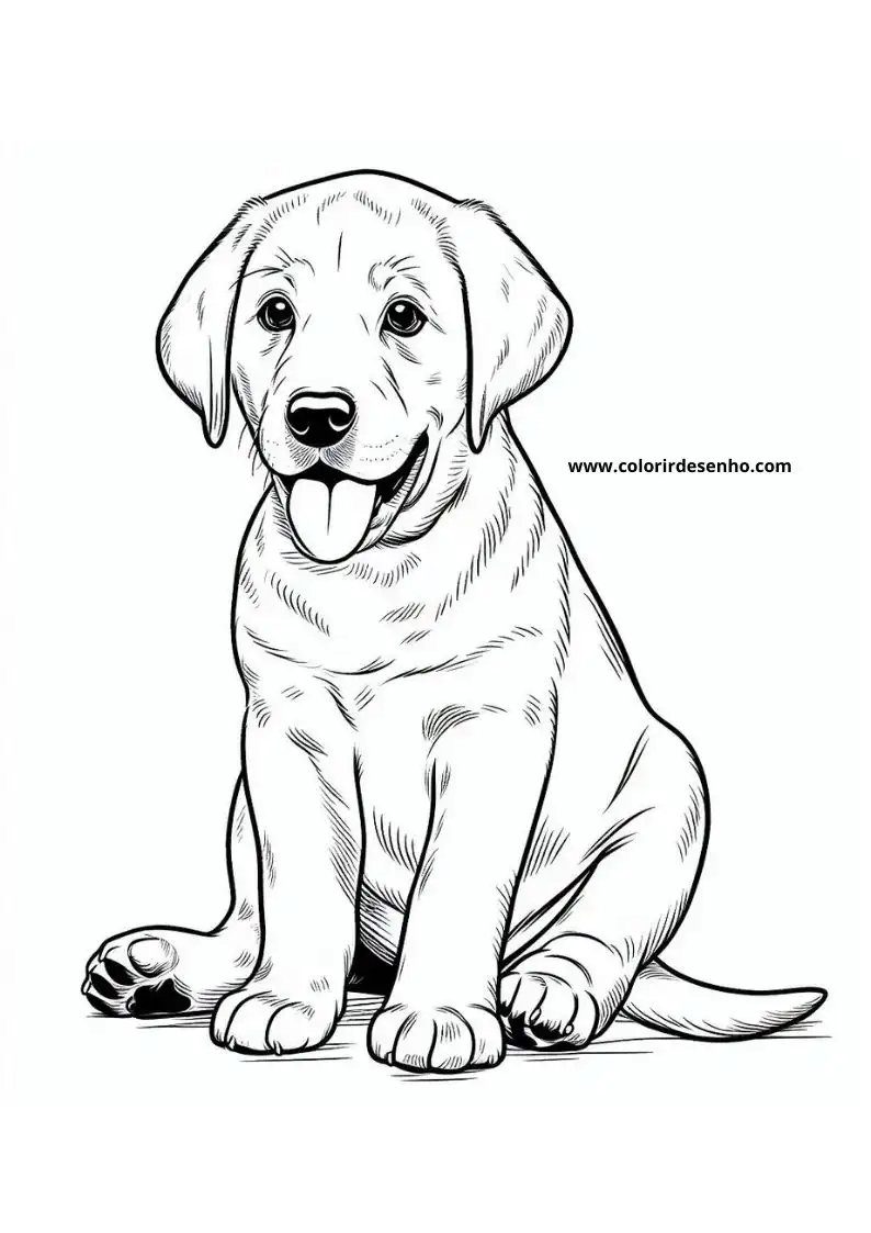 Puppy and Dog Coloring Pages 94