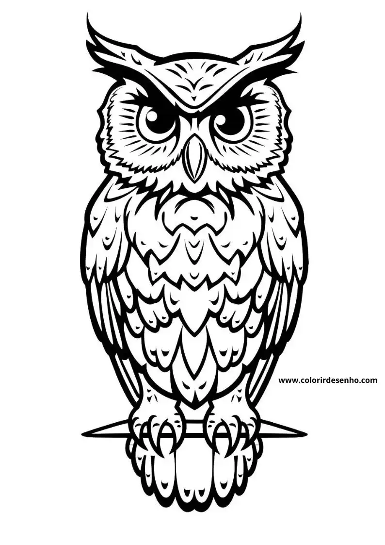 Owl Coloring Pages 84