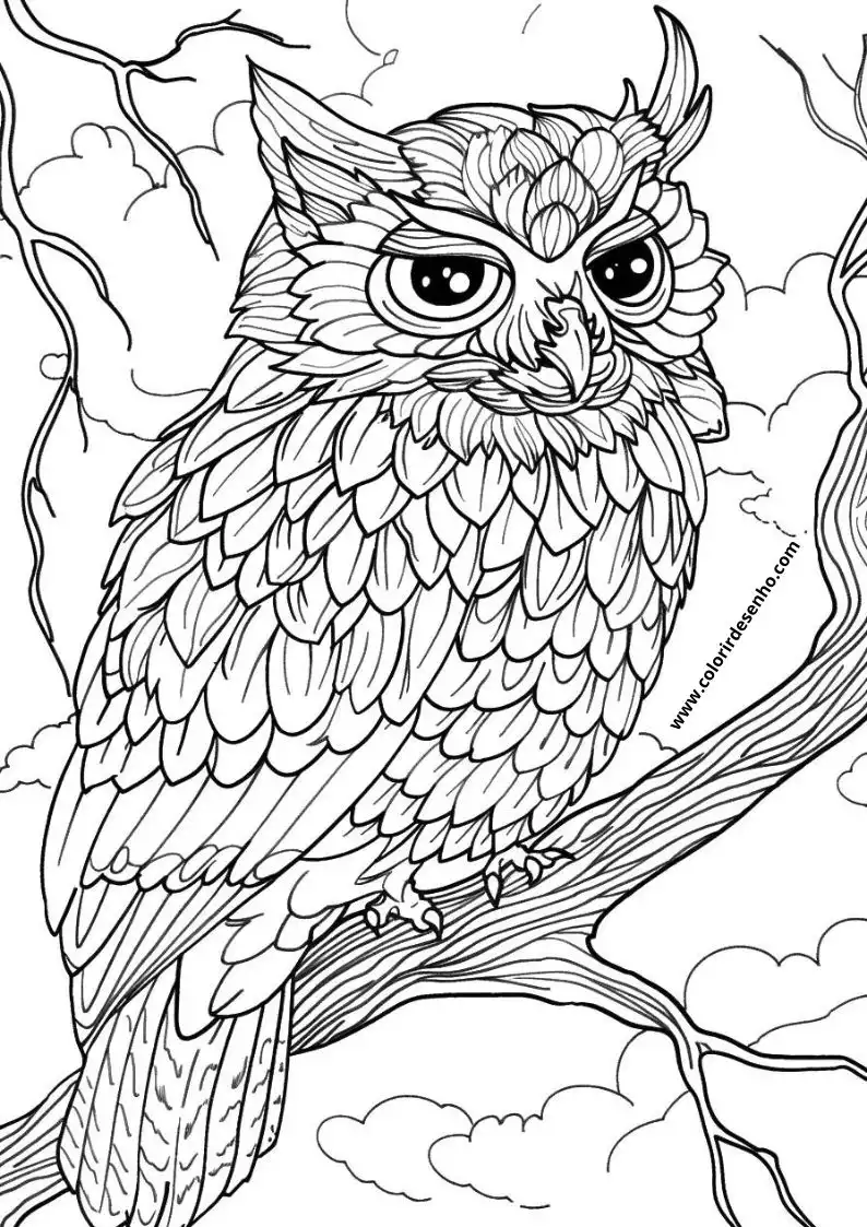 Printable Owl Coloring Pages 184