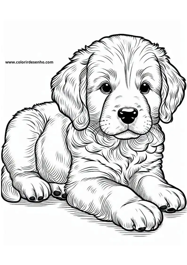 Dog and Puppy Coloring Pages 243