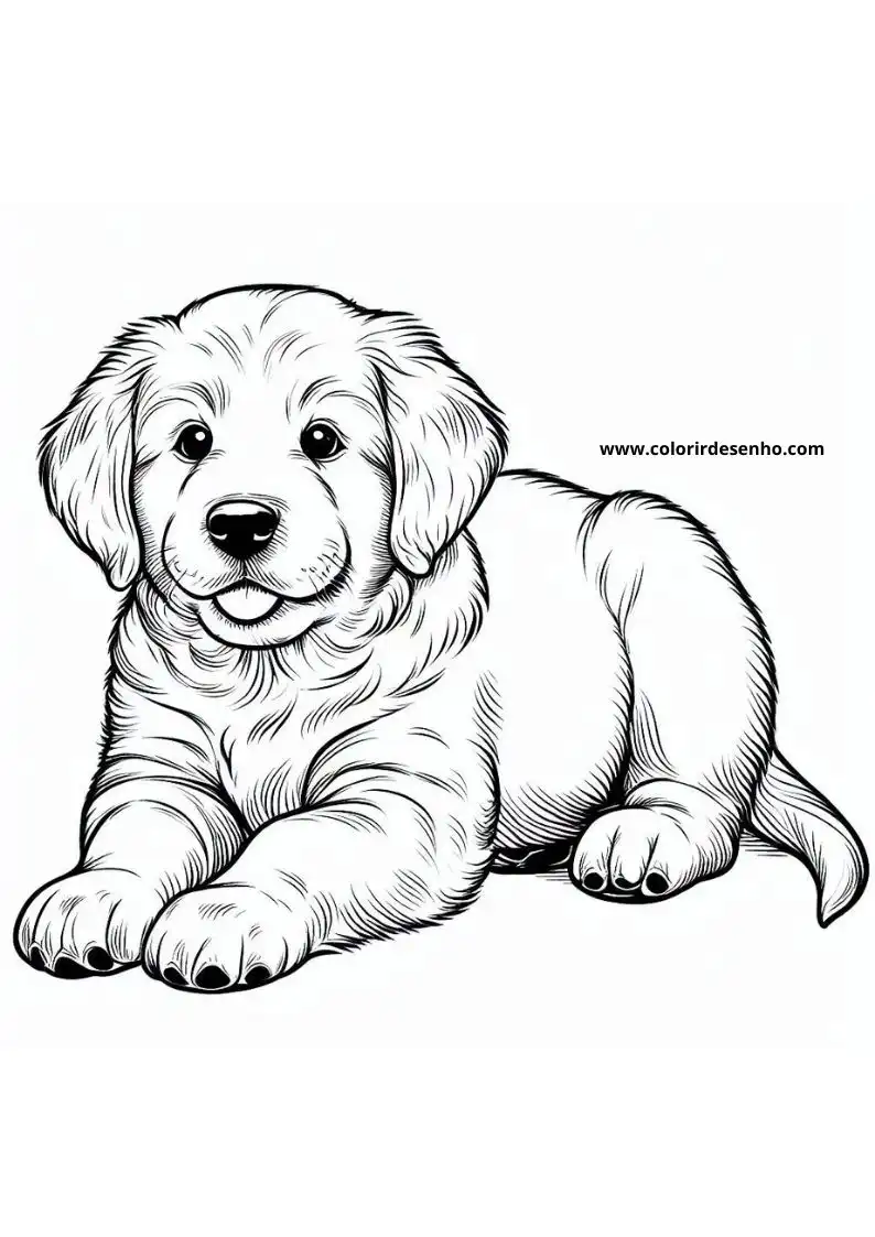 Dog and Puppy Coloring Pages 246