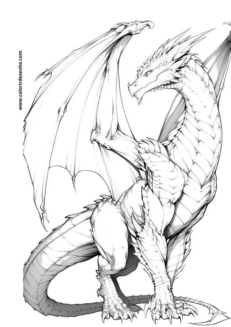 Dragon to Color 15