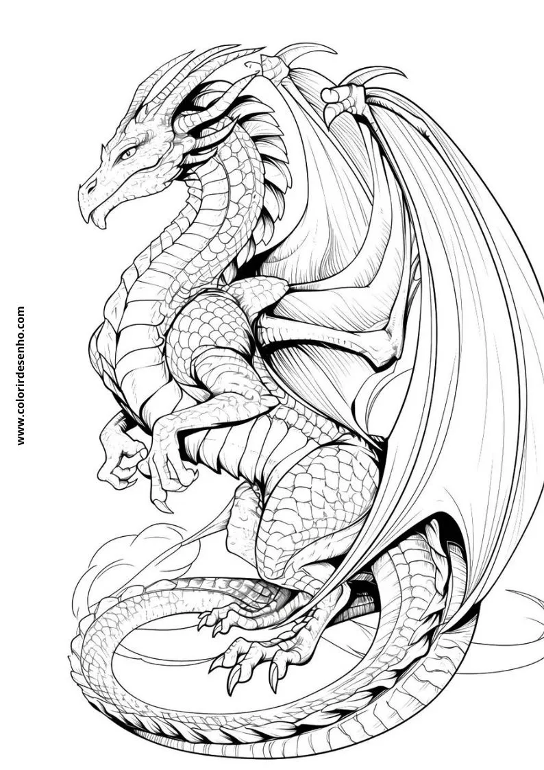 Dragon to Color 25