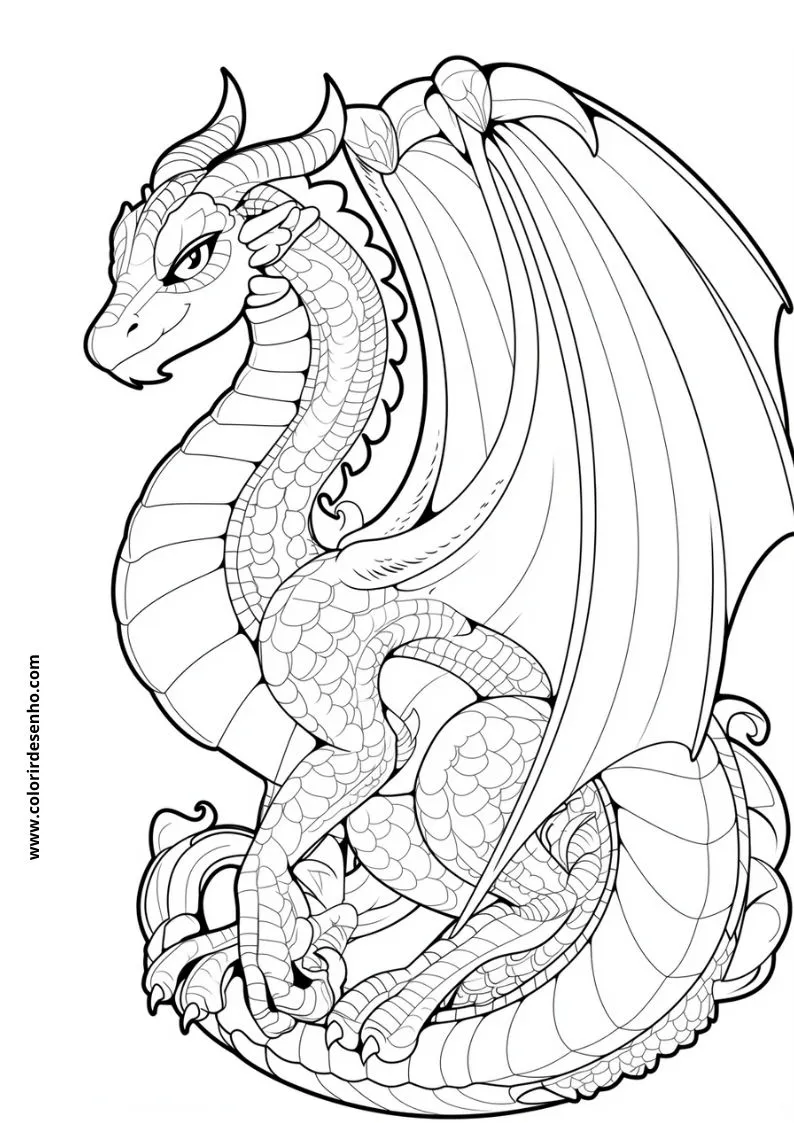 Dragon to Color 42