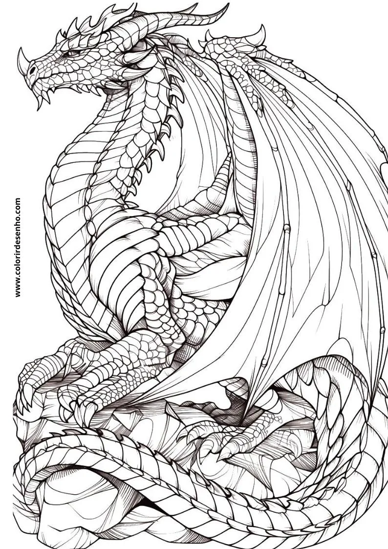 Dragon to Color 55