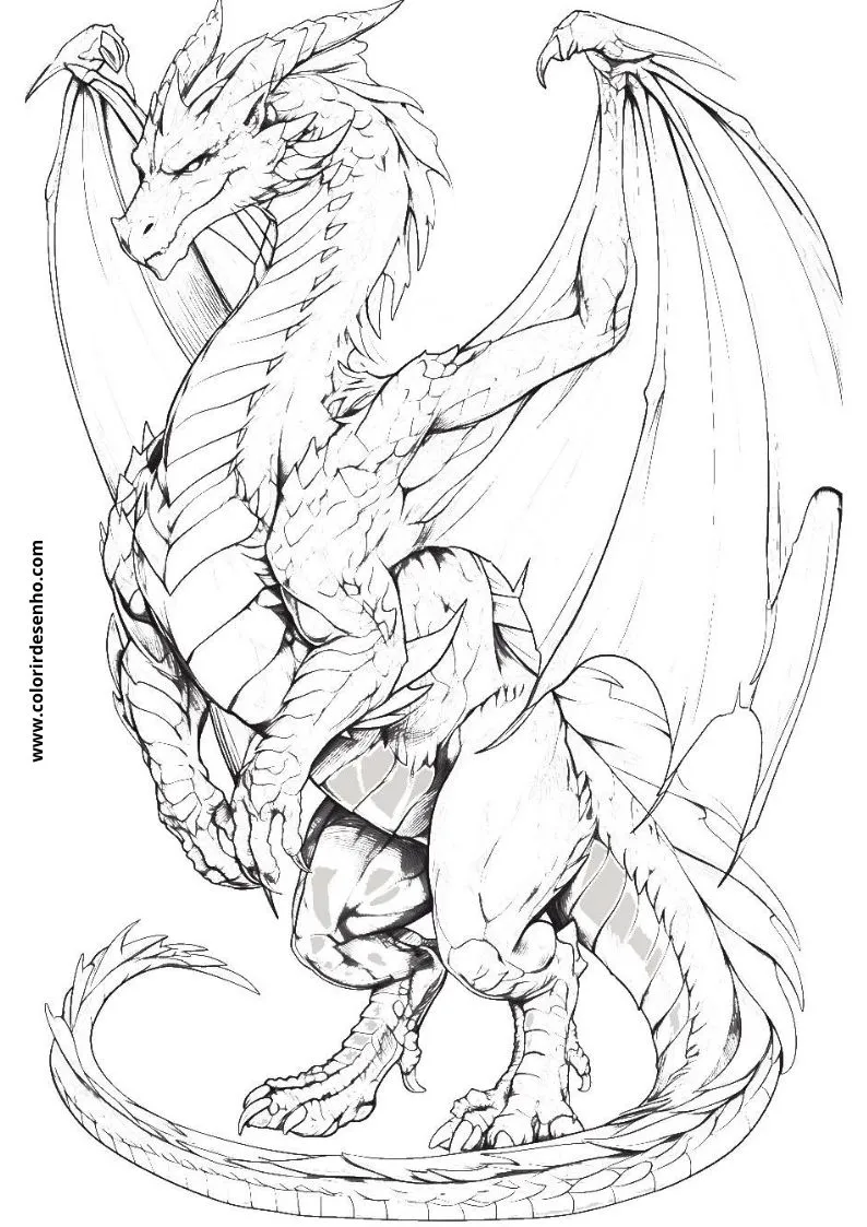 Dragon to Color 8