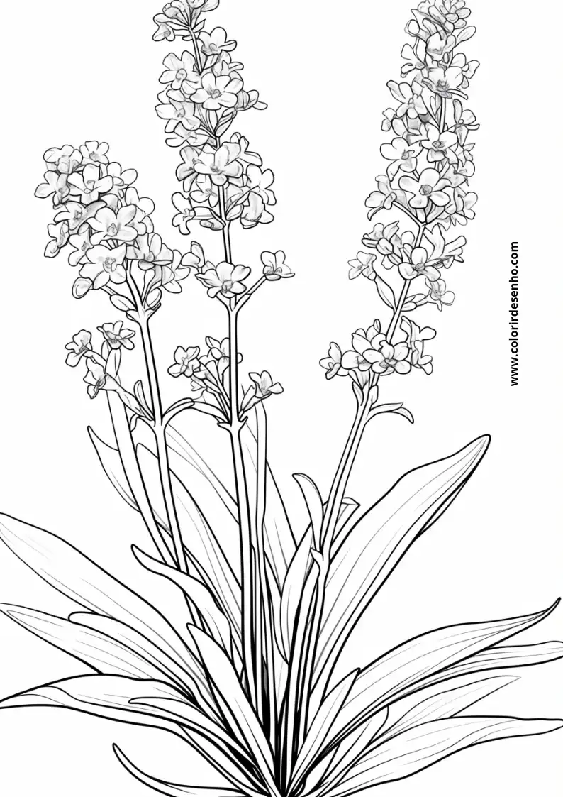 Flor Para Colorir 29