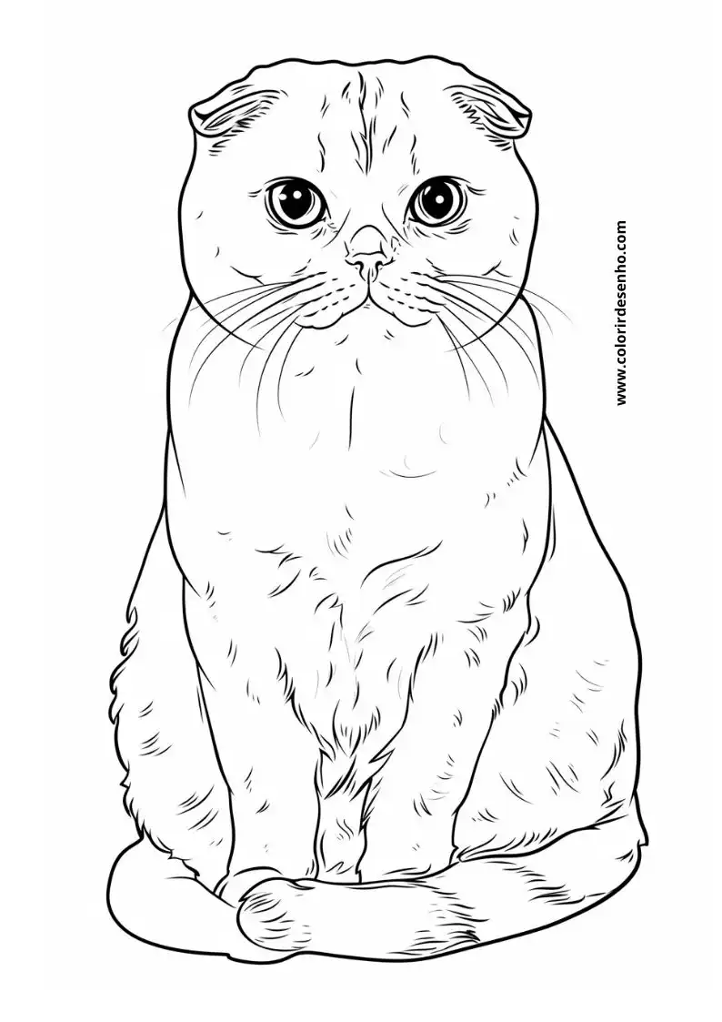 Kitten and Cats Coloring Pages 19