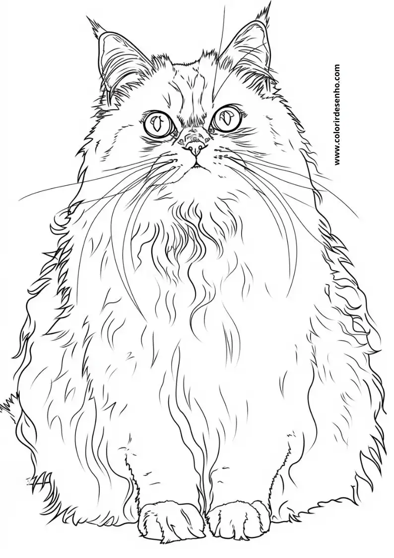 Kitten and Cats Coloring Pages 28