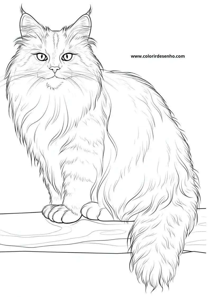 Kitten and Cats Coloring Pages 37