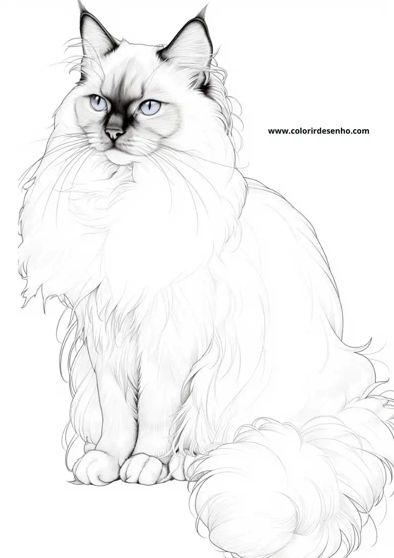 Kitten and Cats Coloring Pages 56