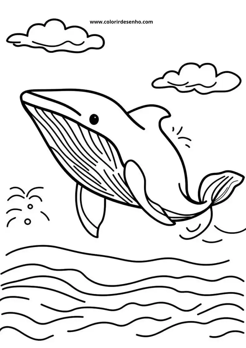 Whale to Color 12