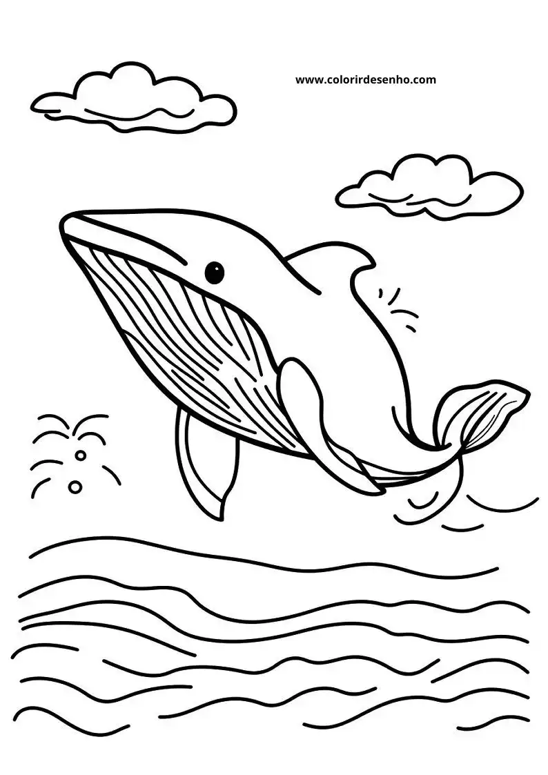 Whale to Color 21