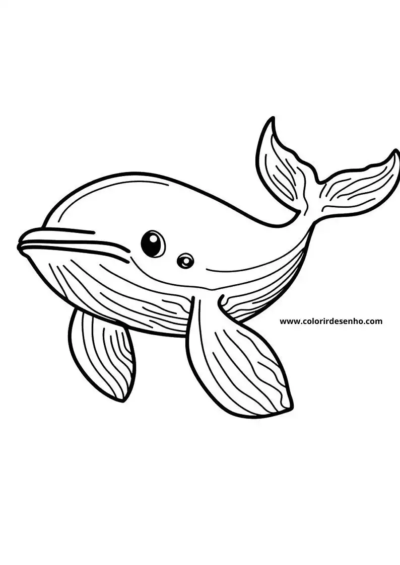 Whale Coloring Pages 38