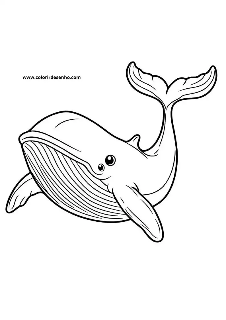 Whale Coloring Pages 52