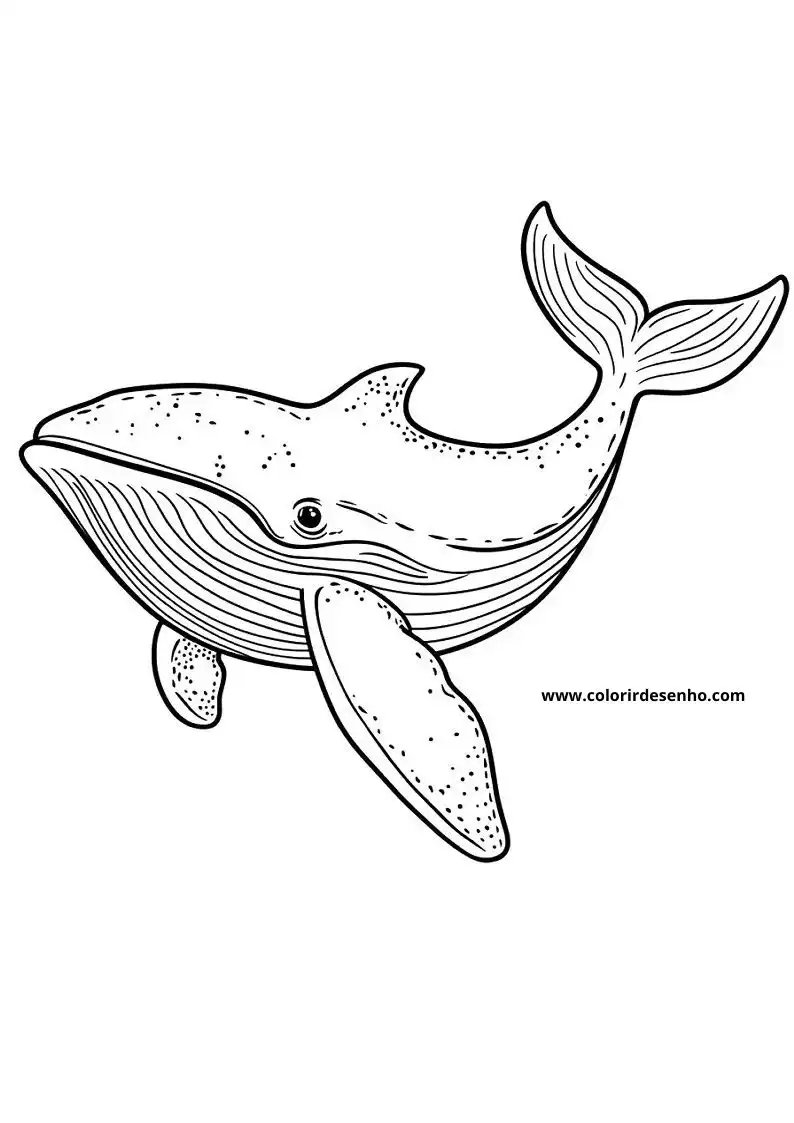 Whale Coloring Pages 53