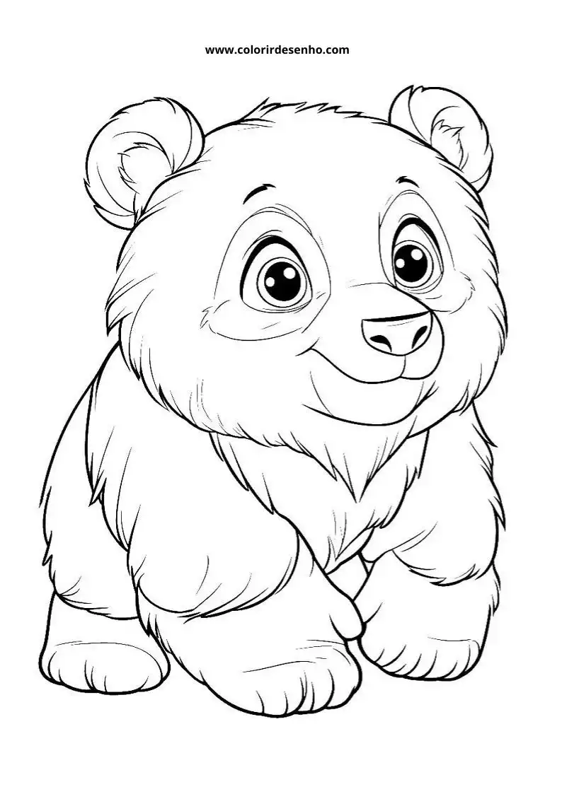 Desenho de Panda para Colorir 28