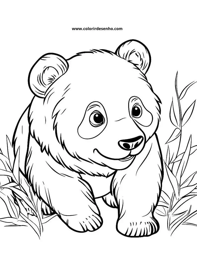 Desenho de Panda para Pintar 190