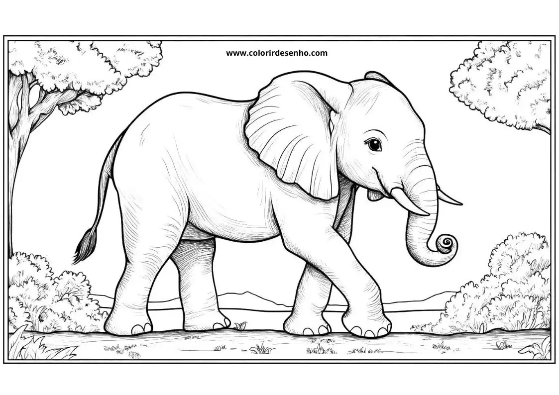 Elephant Coloring Pages 2