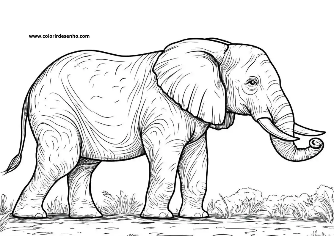 Elephant Coloring Pages 31