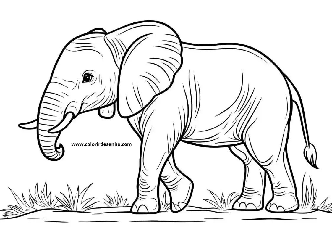 Elephant Coloring Pages 51