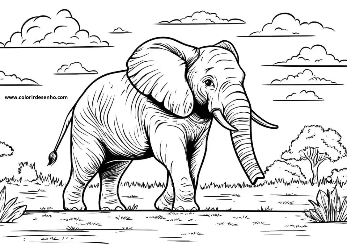 Elephant Coloring Pages 59