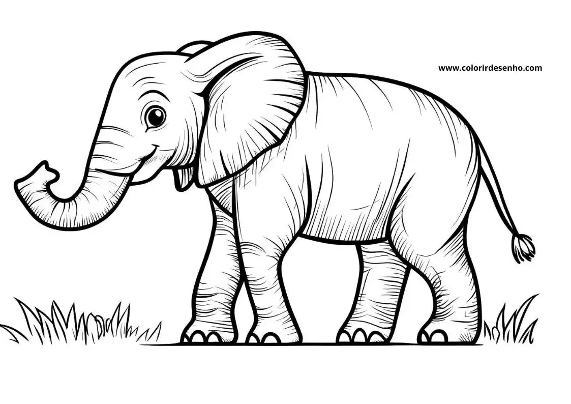 Elephant to Print 101