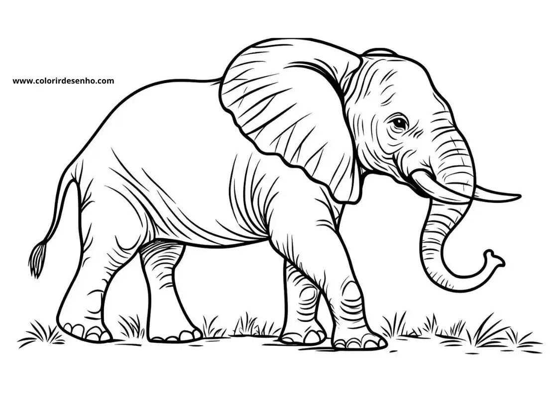 Elephant to Print 105