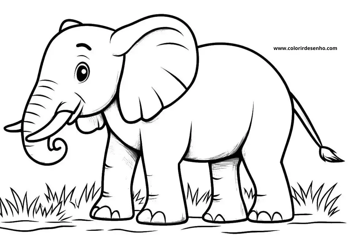 Elephant to Print 106