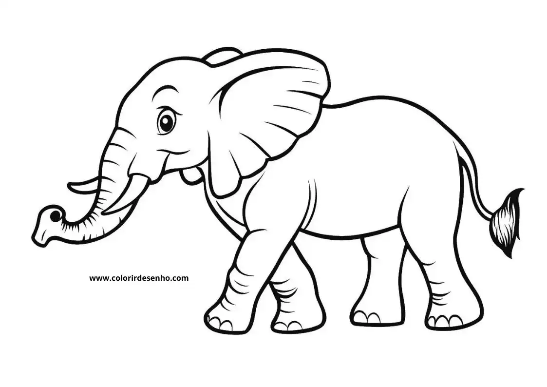 Elephant to Print 107