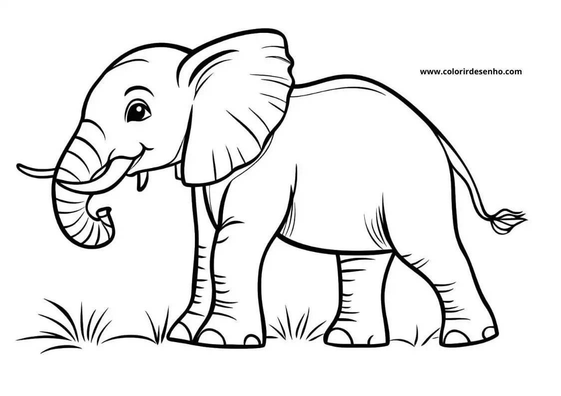 Elephant to Print 125