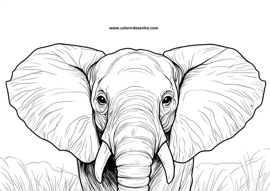 Elephant to Print 142