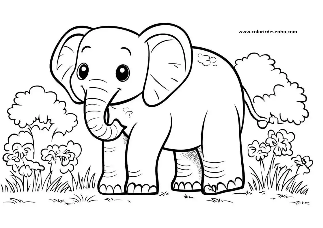 Elephant to Color 147