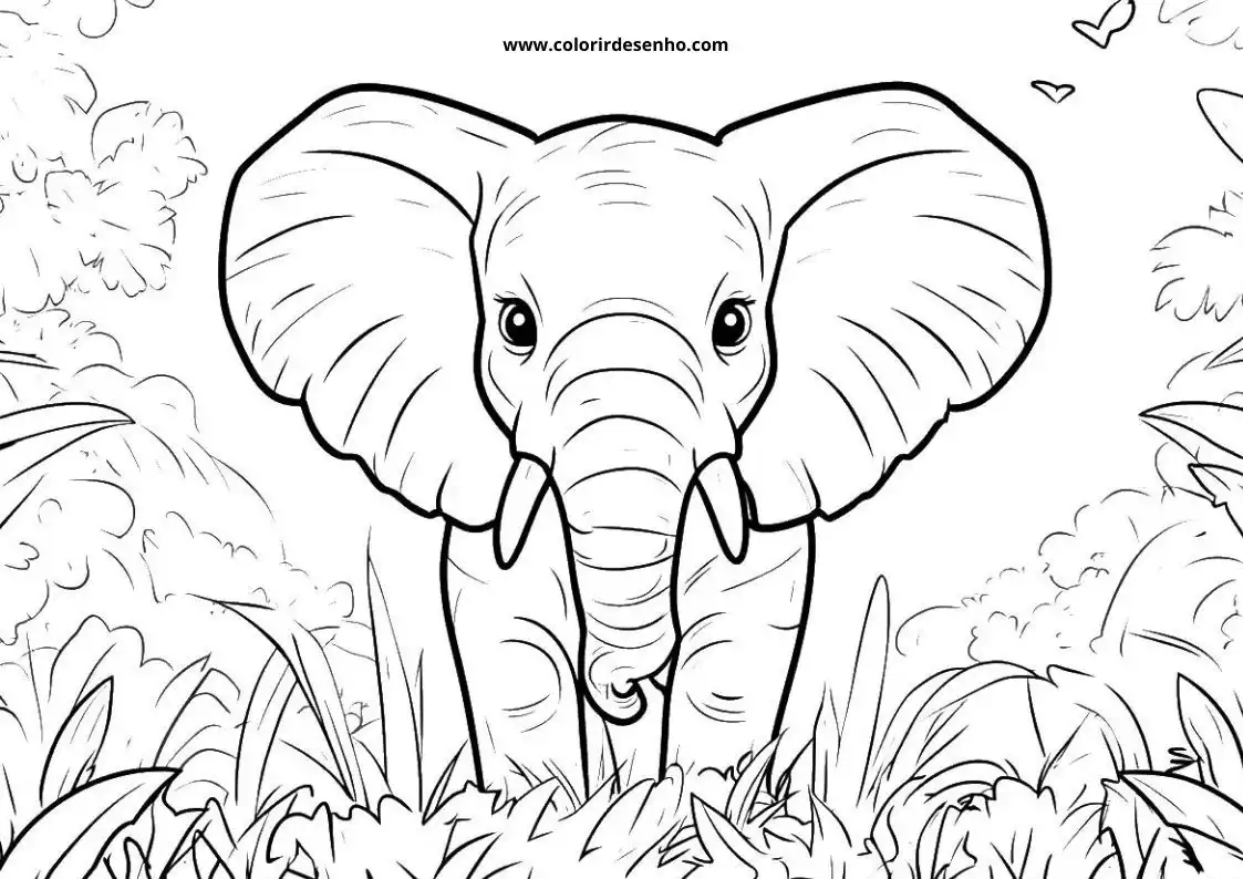 Elephant to Color 148