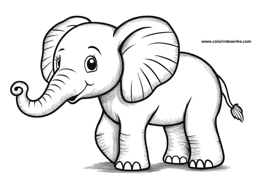 Elephant to Color 155