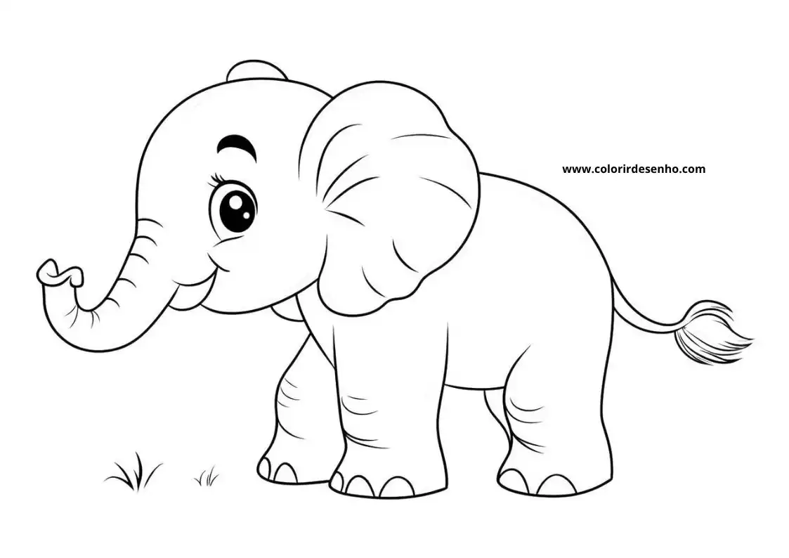 Elephant to Color 156