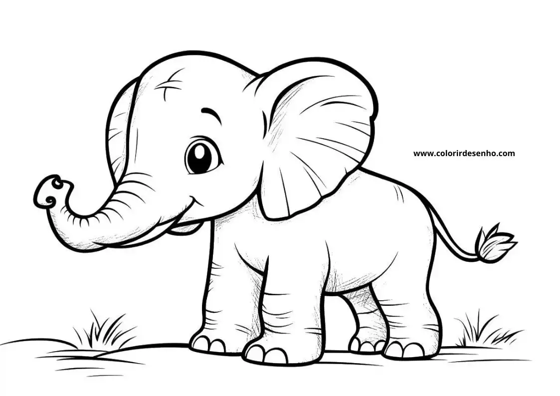 Elephant to Color 165