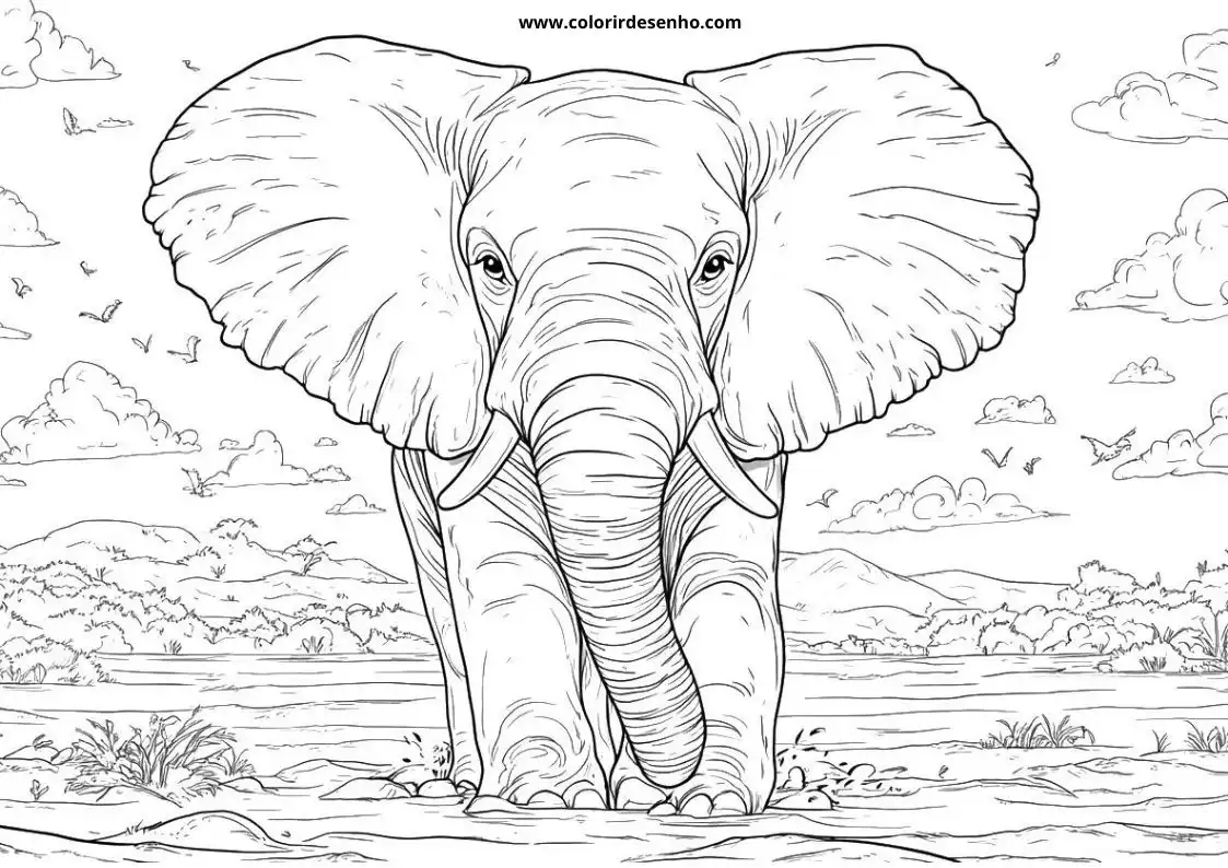 Elephant to Color 192