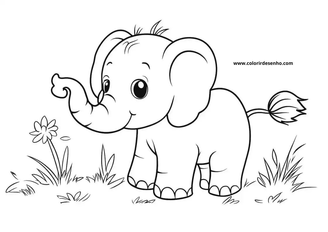 Elephant to Color 194